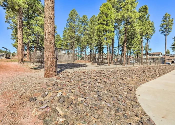 Modern Flagstaff Home, 4 Mi To Downtown!